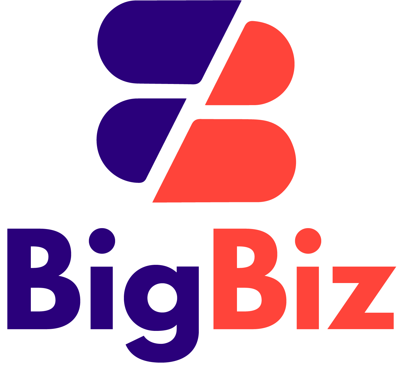 BigBiz LLC
